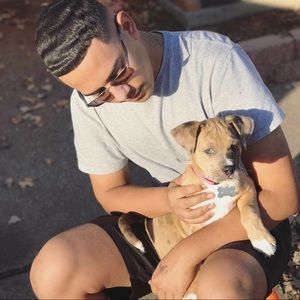 Meet your Posher, Benjamin